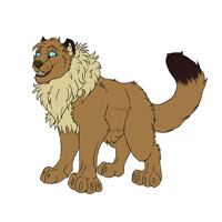 The mighty (and fluffy) wolfbear!
