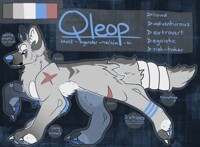 Qleop reference sheet 2017