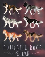 ADOPT ME:  Domestic dogs!