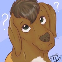 Confused Pupper..
