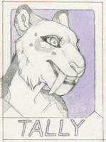 2016 Saber tally Badge