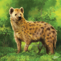 Spring Yeen