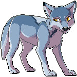 Won't you forget about me