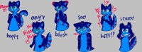 I got some stickers!!!