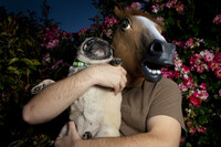 Horsing Around 1732