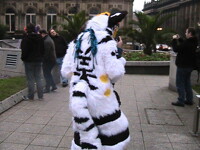 NOM Nom nom camra man