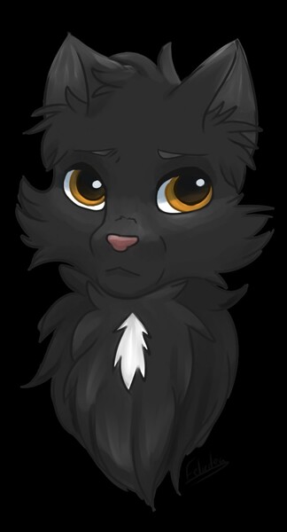 Ravenpaw (Warrior Cats) by Mekaska -- Fur Affinity [dot] net