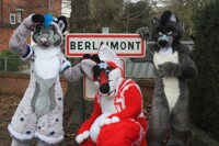 Snowy fluff in France