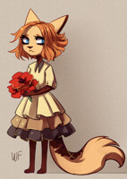 Bouquet of poppies