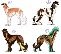 Borzoi Adopts (CLOSED)