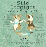 Silo Corgigon Ref 2017