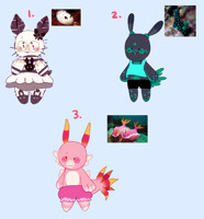 SEA SLUGS OTA