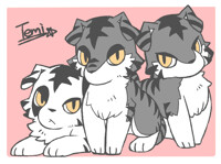 Kagetora&Nobutora&Harutora