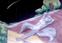 [Commission] Enjoy the night sky