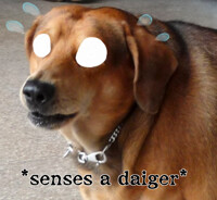 Daiger Sense