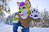 Snow Doggo!!