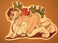Lil Chi Wolf: Walk me?