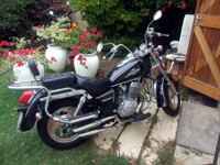 Electrocat's Baby_by_LeoRa_1000-750