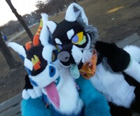 Taking the dog for a walk