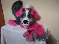 Border collie fursuit partial