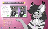 COMMISSIONS ARE OPEN!