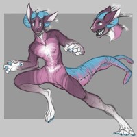 whitebabyfox's unnamed species- design doodle