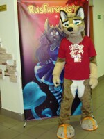 Welcome to RusFurence 2017  .