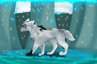 Glacier