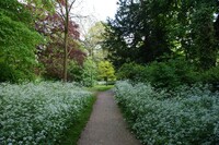 Garden path