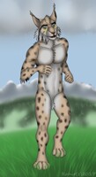 Running Lynx