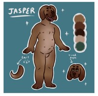 jasper design [c]