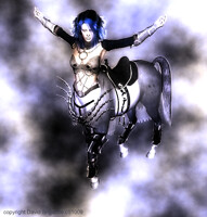 Wartaress 1st design