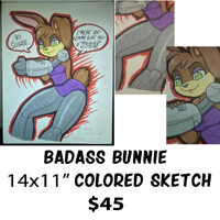 Bunnie Rabbot Colored Sketch FOR SALE