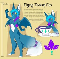 Dazzle the tea cup bat fox