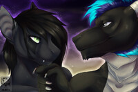 partner icon