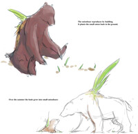 onionbear reproduction