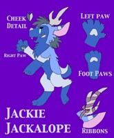 Jackie the Jackalope