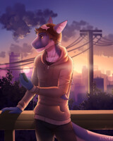 City