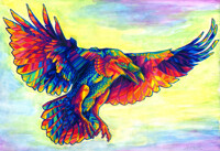 Rainbow Raven: Commission 2016