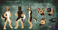 Reiji Keiji Reference Sheet