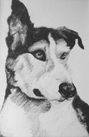 Pet Portrait Commission 003