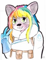 Nyx sometimes Freeze - Com by Amy