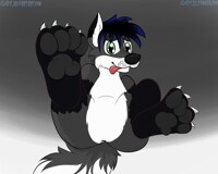 Paws o3o (Art by Cloufy)