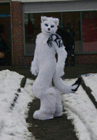 White Wolf LG