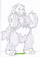 Pokegym pangoro