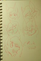face!