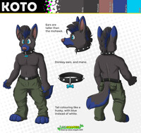 Reference sheet: Koto (clothes)