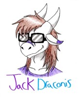 Jack Headshot