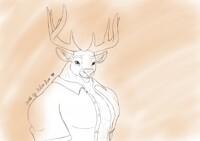 oskanwolfwood