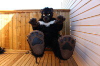 Showing Off My Footpaws While Enjoying a Spring Day